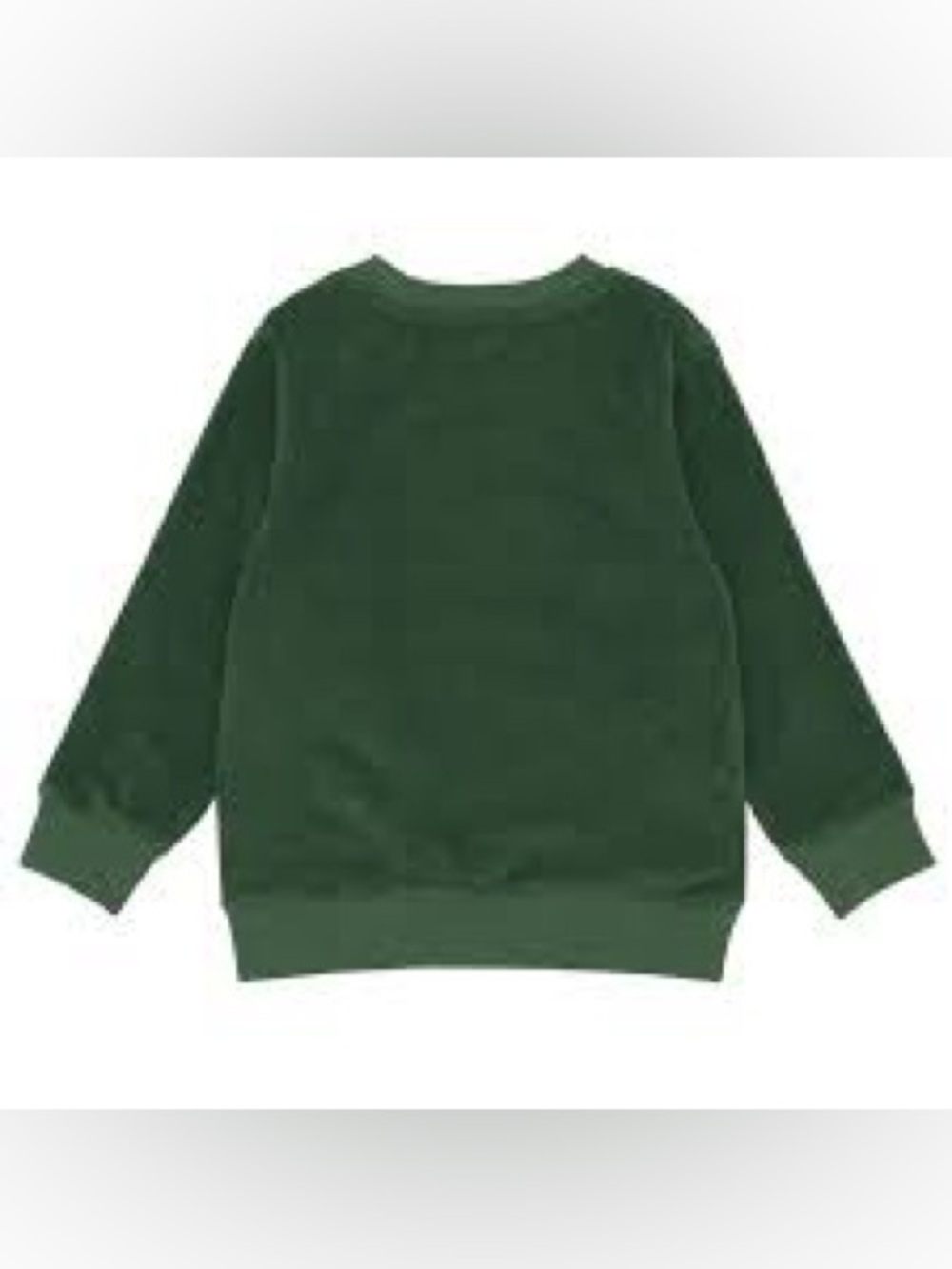 Minnow French Terry Sweatshirt in Evergreen, size 5-6